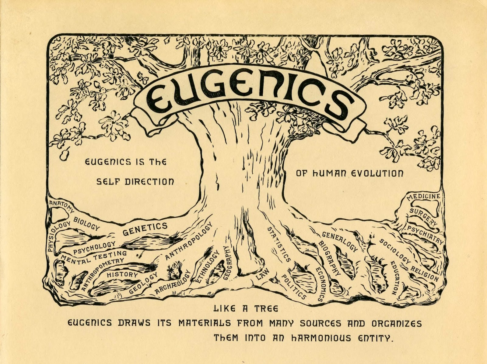 eugenics