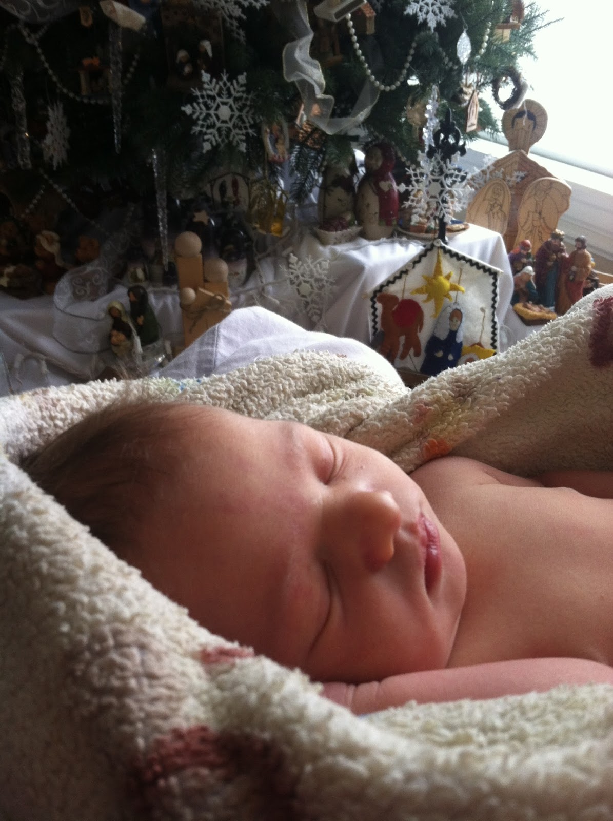 Noelleandchristmastree1