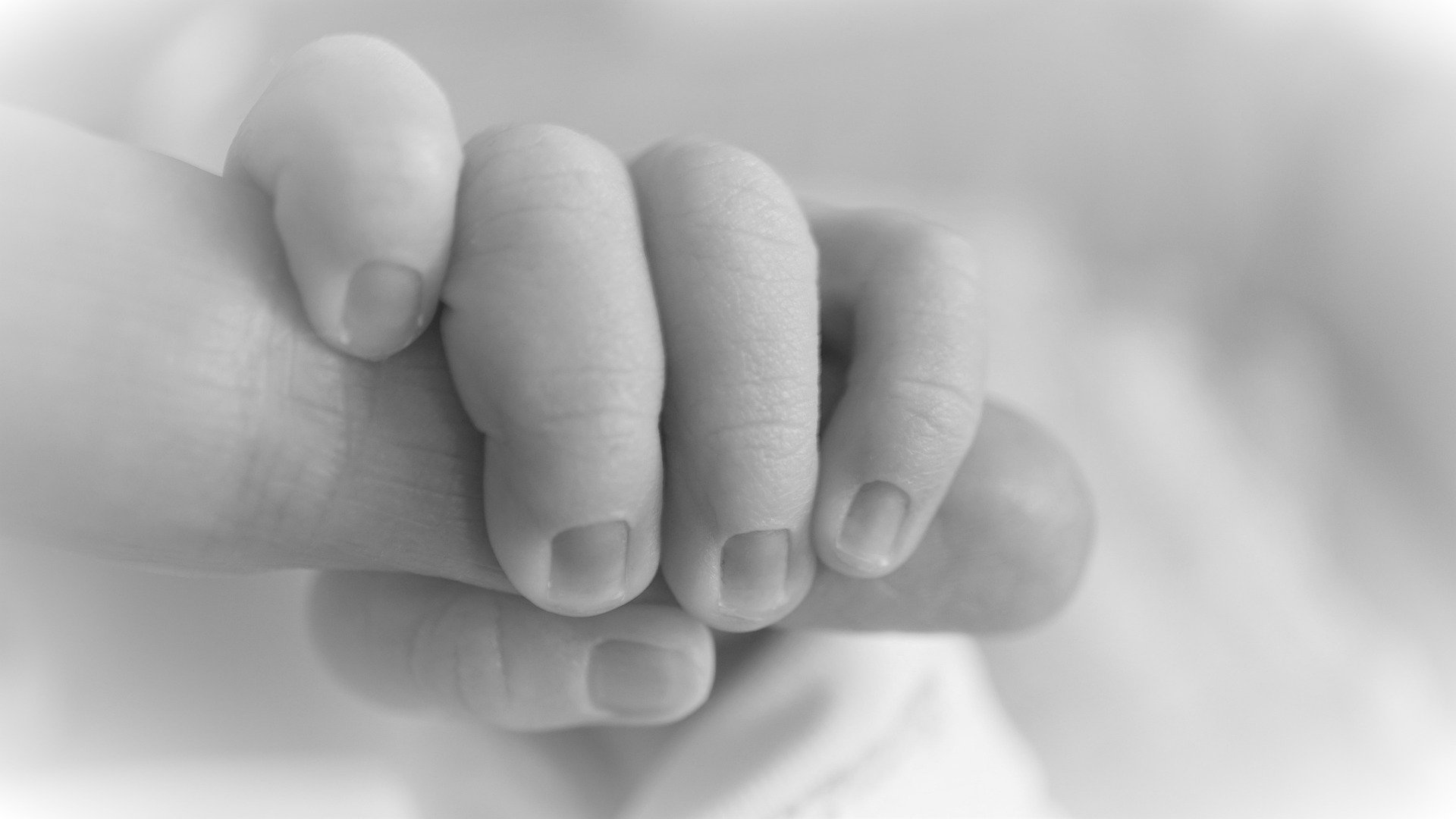 newborn-4748020_1920